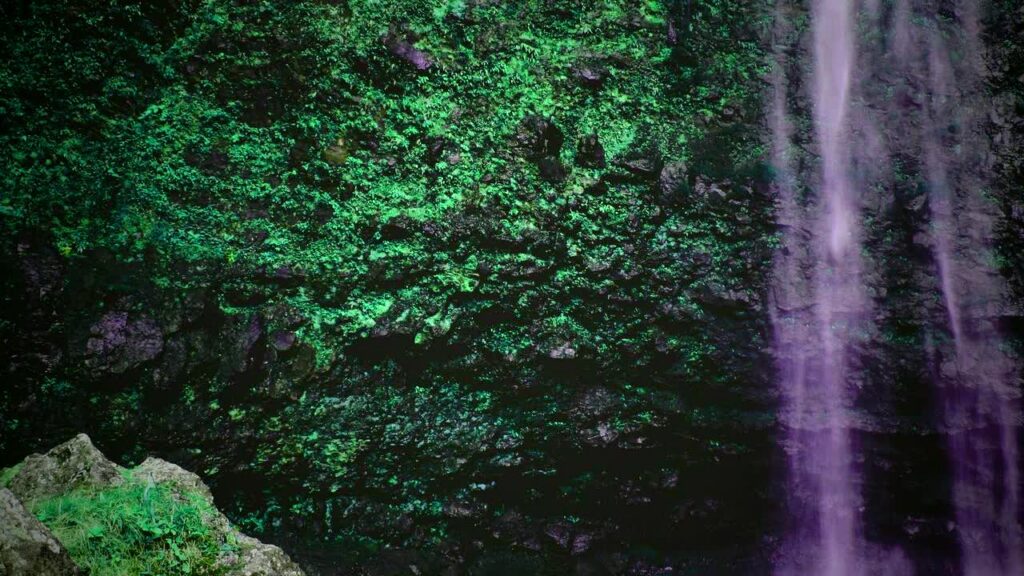 AI Tools That Automate Daily Tasks featured visual