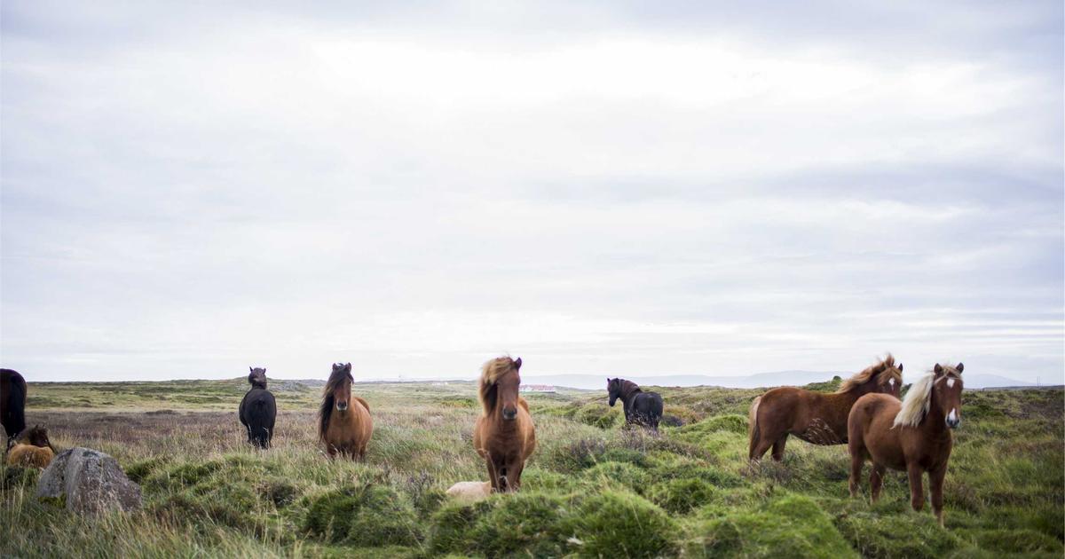 Modern AI-powered smart lock installed on a residential door