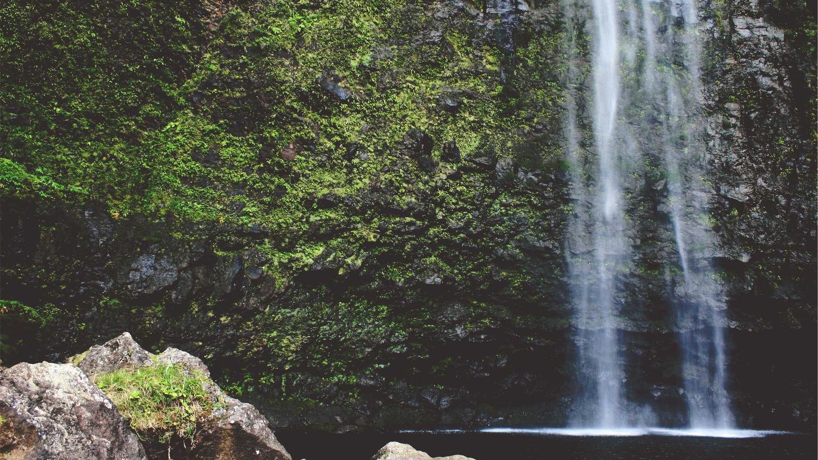 Students collaborating on an AI-assisted group project over video call